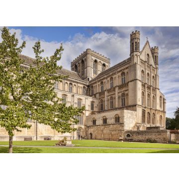 Lais Puzzle - Südwand der Peterborough Kathedrale, Cambridgeshire, England, Großbritannien - 500 & 1.000 Teile