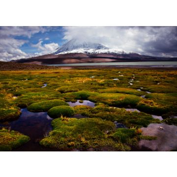 Lais Puzzle - Chile, Lauca-Nationalpark - 100, 200, 500 & 1.000 Teile