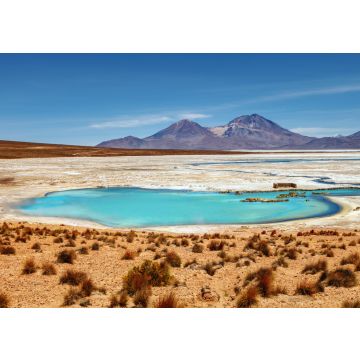 Lais Puzzle - Wunderschöne Landschaft der heißen Quellen Polloquere, in Salt Surire, Isluga Volcano National Park, mehr als 4000 Meter entfernt, Chile - 100, 200, 500 & 1.000 Teile
