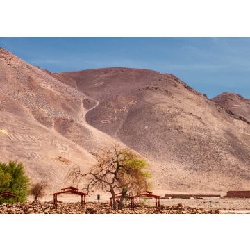 Lais Puzzle - Geoglyphen Pintados Cerros, nahe der Stadt Pica, in der Gemeinde Pozo Almonte, Chile - 100, 200, 500 & 1.000 Teile