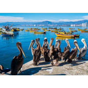 Lais Puzzle - Coquimbo, Chile - 100, 200, 500 & 1.000 Teile