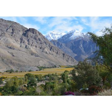 Lais Puzzle - Elqui Valley Chile - 100, 200, 500 & 1.000 Teile