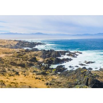 Lais Puzzle - Punta Choros, Chile - 100, 200, 500 & 1.000 Teile