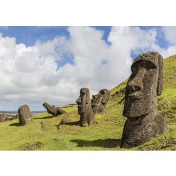 Lais Puzzle - Moai-Skulpturen in verschiedenen Fertigstellungsstadien bei Rano Raraku, dem Steinbruch für alle Moai auf der Osterinsel, Rapa Nui-Nationalpark, Osterinsel (Isla de Pascua), Chile - 100, 200, 500 & 1.000 Teile