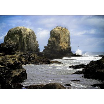Lais Puzzle - Punta Lobos - Pichilemu - Chile - 100, 200, 500 & 1.000 Teile