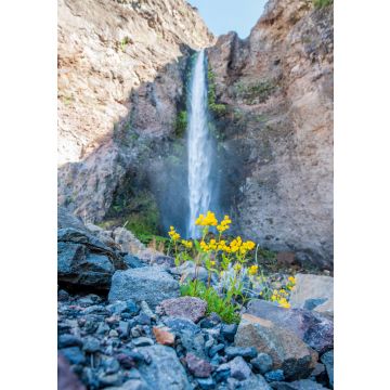 Lais Puzzle - Riesiger Wasserfall in der Wüste. Detail des Wüstenlebens. Antuco Vulkan schwarze Vulkanwüste. Blühende Blumen, Bäume und Steine in der Nähe des Baches. - 100, 200, 500 & 1.000 Teile