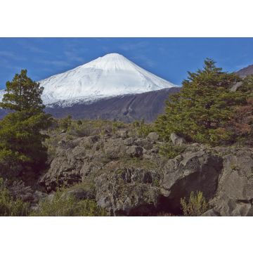 Lais Puzzle - Der schneebedeckte Gipfel des Vulkans Antuco (2.979 m) erhebt sich über einem bewaldeten Tal im Nationalpark Laguna de Laja in der Bio-Bio-Region von Chile - 100, 200, 500 & 1.000 Teile