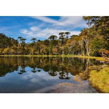 Lais Puzzle - Trekking in Reserva El Cani, in der Nähe von Pucon, Chile - 100, 200, 500 & 1.000 Teile
