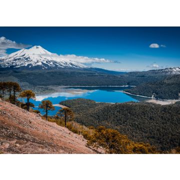 Lais Puzzle - Conguillio Park, Temuco, Chile - 100, 200, 500 & 1.000 Teile