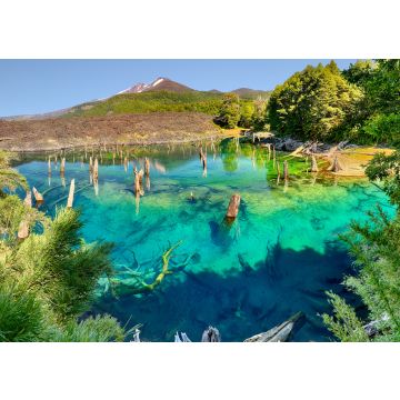 Lais Puzzle - Lago Arcoiris bei Conguillio N.P. (Chile) - 100, 200, 500 & 1.000 Teile