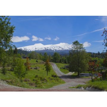 Lais Puzzle - Reserva Huilo huilo, Chile - 100, 200, 500 & 1.000 Teile