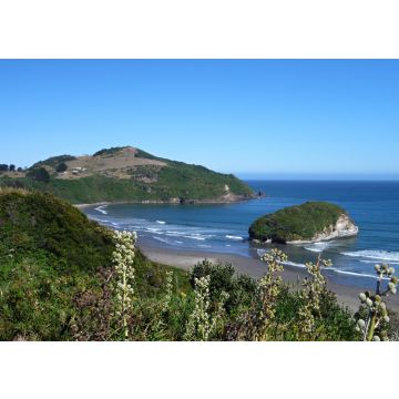 Lais Puzzle - Pinguin Reservierung Islotes de Punihuil auf Chiloe Island in Chile - 100, 200, 500 & 1.000 Teile