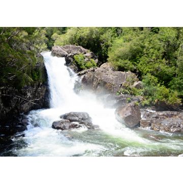 Lais Puzzle - Wasserfall im Alerce Andino Nationalpark, Chile - 100, 200, 500 & 1.000 Teile