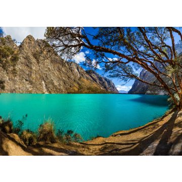 Lais Puzzle - Quenoal-Bäume im Llanganuco-See, in der weißen Bergkette in der Nähe des Huascaran-Berges, in Yungay, Huaraz, Ancash, Peru - 100, 200, 500 & 1.000 Teile