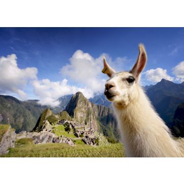 Lais Puzzle - Lama in Machu Picchu, Peru - 100, 200, 500 & 1.000 Teile