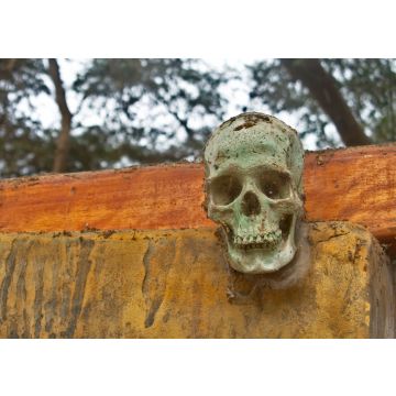 Lais Puzzle - Skulptur eines menschlichen Schädels im Park der Cachiche-Hexen in Ica, Peru - 100, 200, 500 & 1.000 Teile