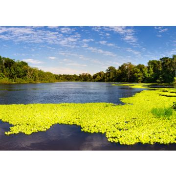 Lais Puzzle - Panoramablick auf den Marañon-Fluss im Pacaya Samiria Reservat in Peru, in der Nähe von Iquitos. Der Fluss der Spiegel - 100, 200, 500 & 1.000 Teile