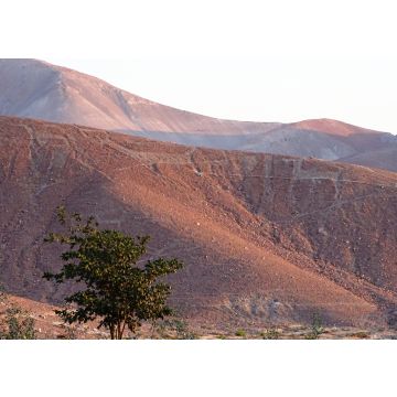 Lais Puzzle - Geoglyphen von Lamas in Chen Chen (Moquegua, Südperu) - 100, 200, 500 & 1.000 Teile