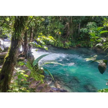 Lais Puzzle - Quelle des Flusses Tioyacu in Rioja Tarapoto, Peru - 100, 200, 500 & 1.000 Teile