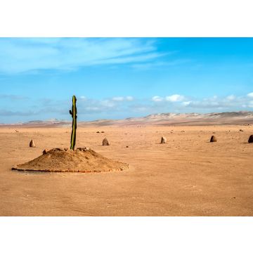 Lais Puzzle - Die einzige Pflanze über viele Kilometer in der Wüstenregion von Tacna, Peru - 100, 200, 500 & 1.000 Teile