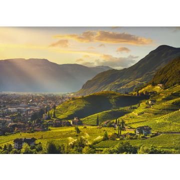 Lais Puzzle - Ansicht der Weinberge in Santa Maddalena Bozen, Italien - 100, 200, 500 & 1.000 Teile