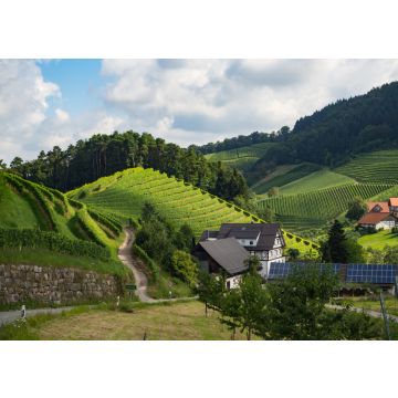 Lais Puzzle - Ein Spaziergang durch die Gemeinde Durbach im Ortenaukreis, Deutschland - 100, 200, 500 & 1.000 Teile