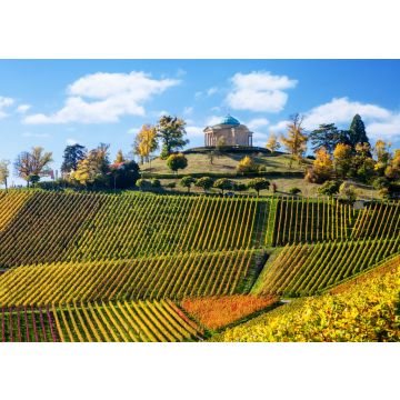 Lais Puzzle - Stuttgart Deutschland Landschaftsansicht des Mausoleums und der Weinberge von Rotenberg - 100, 200, 500 & 1.000 Teile