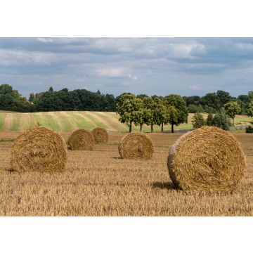 Lais Puzzle - Feld mit Strohballen - Märkische Schweiz - 500 & 1.000 Teile