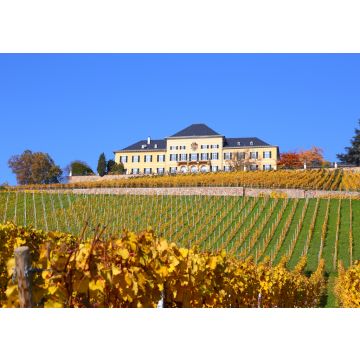 Lais Puzzle - Schloss Johannisberg im Rheingau - 100, 200, 500 & 1.000 Teile