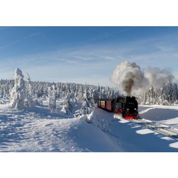 Lais Puzzle - Die Brockenbahn mit der Lok 99 7241-5 der Harzer-Schmalspurbahne - 100, 200, 500 & 1.000 Teile