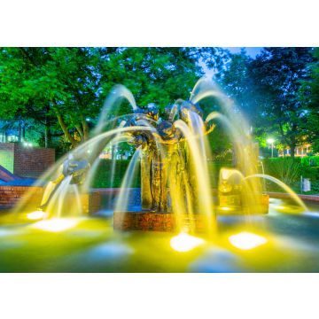 Lais Puzzle - Nachtansicht des Gauklerbrunnens im Stadtpark in Dortmund, Deutschland - 100, 200, 500 & 1.000 Teile