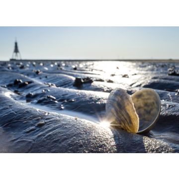 Lais Puzzle - Sandschneise im Wattenmeer in Cuxhaven mit der Kugelbake, einem historischen Hilfsmittel am nördlichsten Punkt Niedersachsens, im Hintergrund - 100, 200, 500 & 1.000 Teile