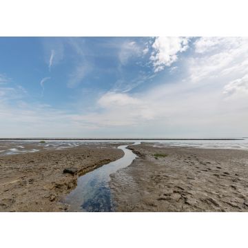 Lais Puzzle - Nahaufnahme des Gezeitenwegs am Sylter Wattenmeer / Deutschland - 100, 200, 500 & 1.000 Teile