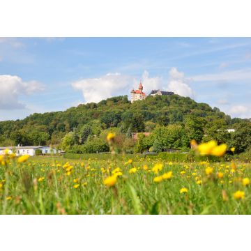 Lais Puzzle - Veste Heldburg in Thüringen - 100, 200, 500 & 1.000 Teile