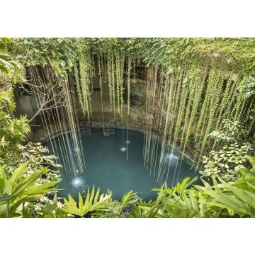 Lais Puzzle - Regenwald-Cenote auf der Halbinsel Yucatan. Tiefe, mit Süßwasser gefüllte Löcher in Yucatan, Mexiko - 100, 200, 500 & 1.000 Teile