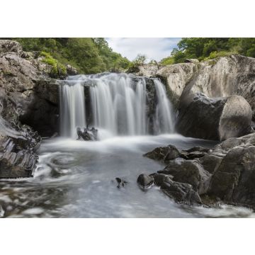 Lais Puzzle - Cenarth, Carmarthenshire, Wales, Blick auf den Wasserfall Cenarth Falls - 100, 200, 500 & 1.000 Teile