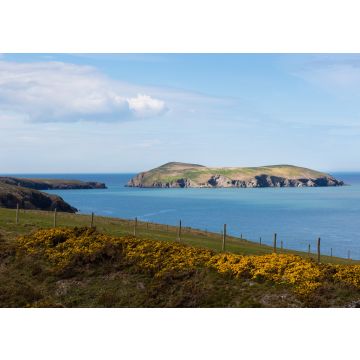 Lais Puzzle - Cardigan Island, Ceredigion, Wales - 100, 200, 500 & 1.000 Teile