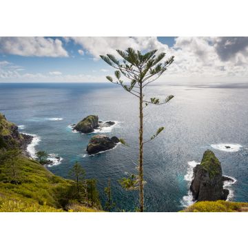 Lais Puzzle - Norfolk Pine an der Küste der Insel Norfolk, Australien - 100, 200, 500 & 1.000 Teile