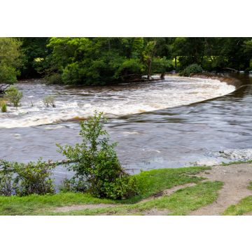 Lais Puzzle - Die Horseshoe Wasserfälle, Wales - 100, 200, 500 & 1.000 Teile