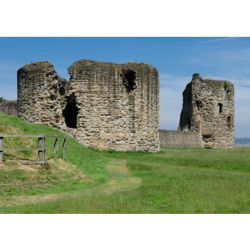 Lais Puzzle - Die Ruinen von Flint Castle, Flintshire, Wales - 100, 200, 500 & 1.000 Teile