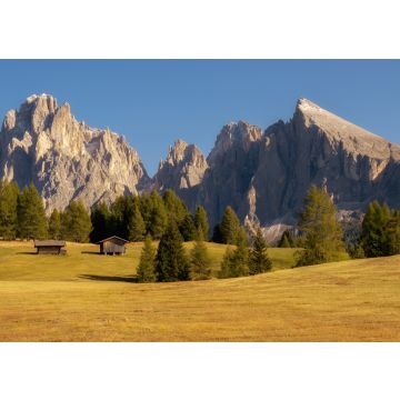 Lais Puzzle - Seiser Alm, Südtirol, Dolomiten - 100, 200, 500 & 1.000 Teile