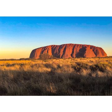 Lais Puzzle - Szenisches Ansicht vom Ayers Rock auf Feld gegen klaren blauen Himmel - 100, 200, 500 & 1.000 Teile