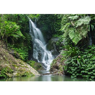 Lais Puzzle - Wasserfall im Lamington National Park in Queensland, Australien - 100, 200, 500 & 1.000 Teile