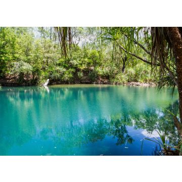 Lais Puzzle - Berry Springs, eine Süßwasserquelle im Northern Territory, Australien - 100, 200, 500 & 1.000 Teile