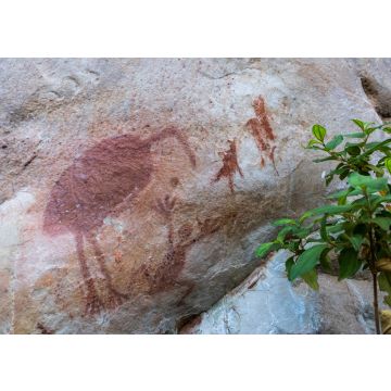 Lais Puzzle - Aborigine-Malereien auf dem Felsen. Mauern unter dem Schatten. Bedeutung: Tiere, Emu, Frosch. Elsey-Nationalpark, Victoria-Fluss, Northern Territory, Australien - 100, 200, 500 & 1.000 Teile