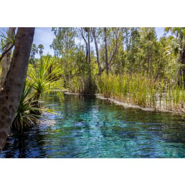 Lais Puzzle - Mataranka Hot Springs im Waterhouse River, Mataranka, Northern Territory, Australien - 100, 200, 500 & 1.000 Teile