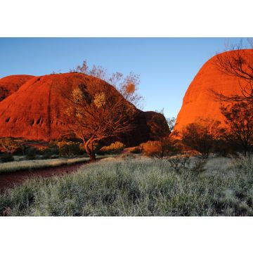 Lais Puzzle - Australien Landschaft: Roter Fels von Alice Spring, Yulara, Mutitjulu, Northern Territory - 100, 200, 500 & 1.000 Teile
