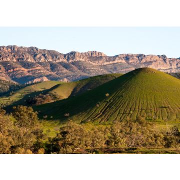 Lais Puzzle - Szene in Flinders Ranges Australien - 100, 200, 500 & 1.000 Teile