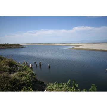 Lais Puzzle - Ufer des Flusses Brahmaputra in Dibrugarh, Assam, Indien - 100, 200, 500 & 1.000 Teile