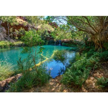 Lais Puzzle - Fern-Pool in der Dales-Schlucht, Karijini-Nationalpark, Westaustralien - 100, 200, 500 & 1.000 Teile
